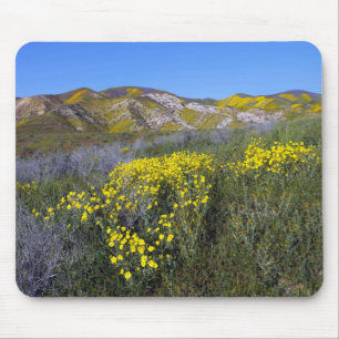 Carrizo Plain National Monument Mouse Mat