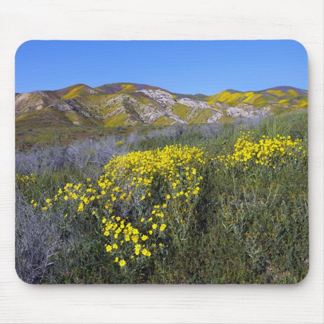 Carrizo Plain National Monument Mouse Mat (Front)
