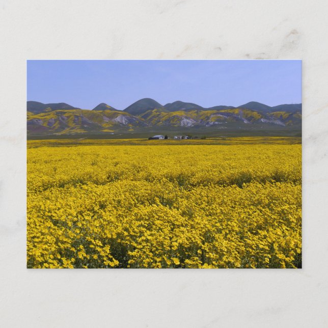 Carrizo Plain National Monument Postcard (Front)