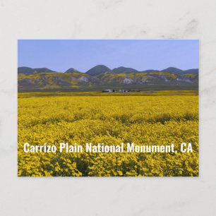 Carrizo Plain National Monument Postcard