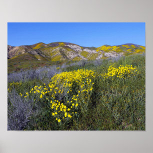 Carrizo Plain National Monument Poster