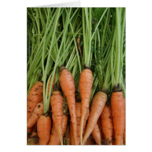 Carrot Card