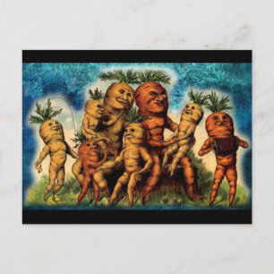 Carrot Family Weirdness Postcard