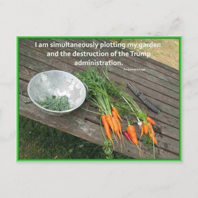 Carrot Gardening & Plotting & Resisting Trump Postcard (Front)
