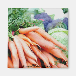 Carrot Magnet