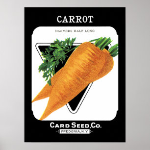 Carrot Seed Packet Label Poster