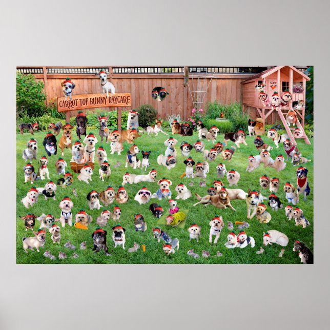 Carrot Top Bunny Daycare 2015 Poster (Front)