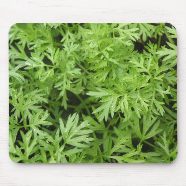 Carrot Tops Mousepad (Front)