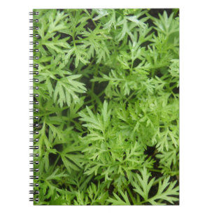 Carrot Tops Notebook