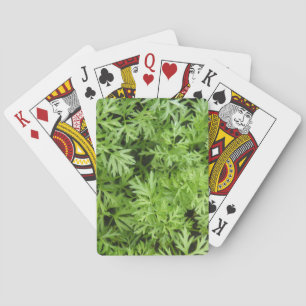 Carrot Tops Playing Cards