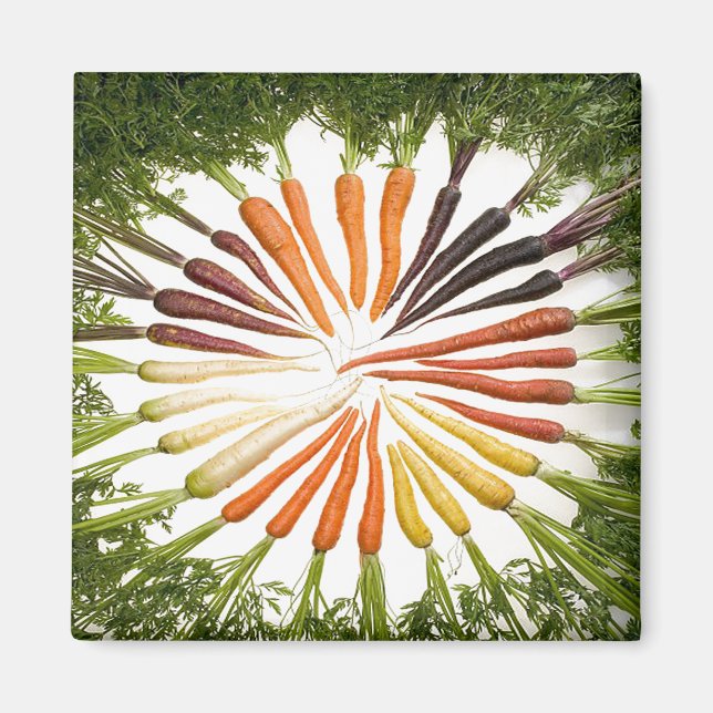Carrot Vegetables Colourful Rainbow Pattern Garden Magnet (Front)