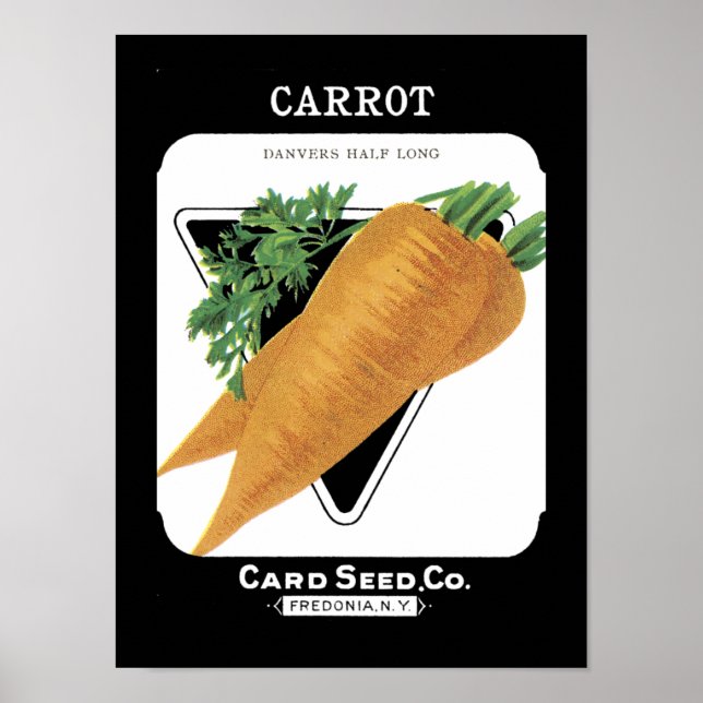 Carrot Vintage Seed Packet Poster (Front)