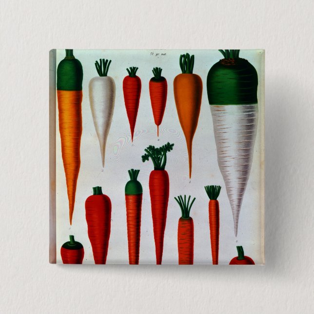 Carrots 15 Cm Square Badge (Front)