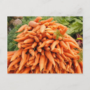 Carrots at Farmers market Postcard