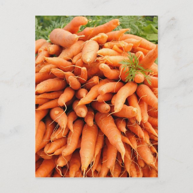 Carrots at Farmers market Postcard (Front)