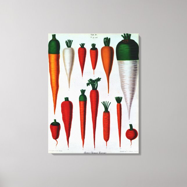 Carrots Canvas Print (Front)