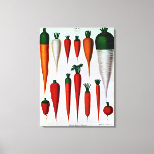 Carrots Canvas Print