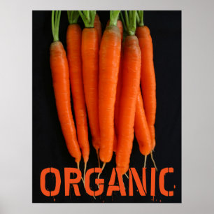 Carrots Fresh from the Garden Poster