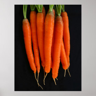 Carrots Fresh from the Garden Poster