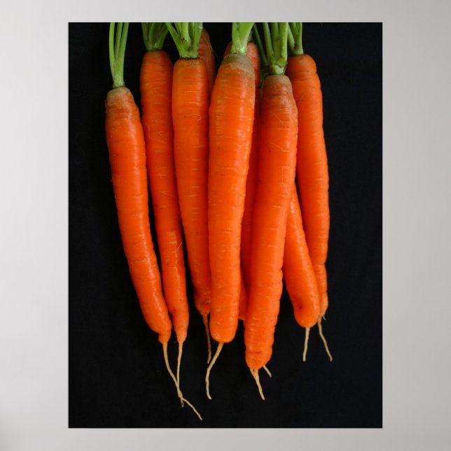 Carrots Fresh from the Garden Poster (Front)