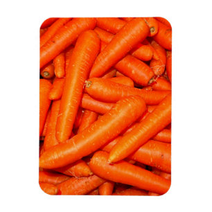 CARROTS  MAGNET