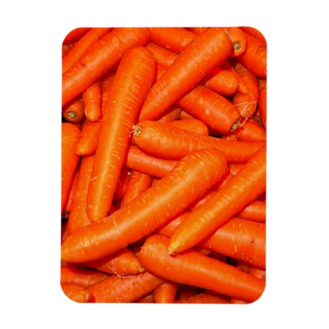 CARROTS  MAGNET (Vertical)