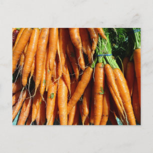 Carrots Postcard