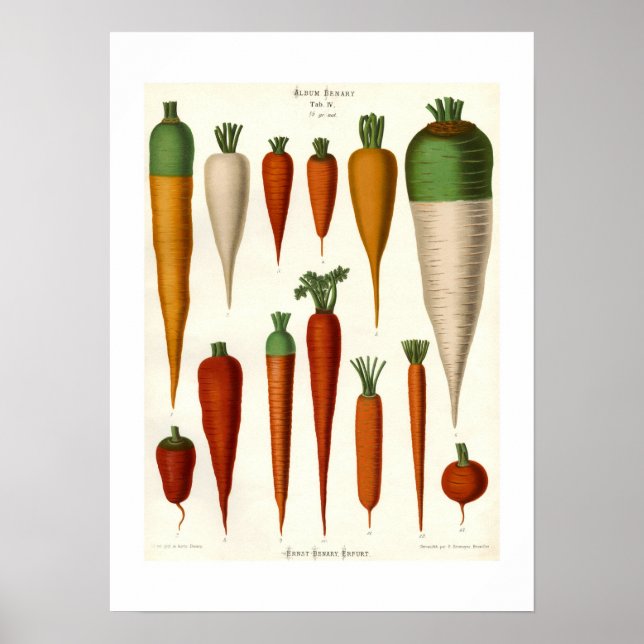 Carrots Poster (Front)