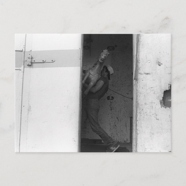 Carrying the Horse Postcard (Front)