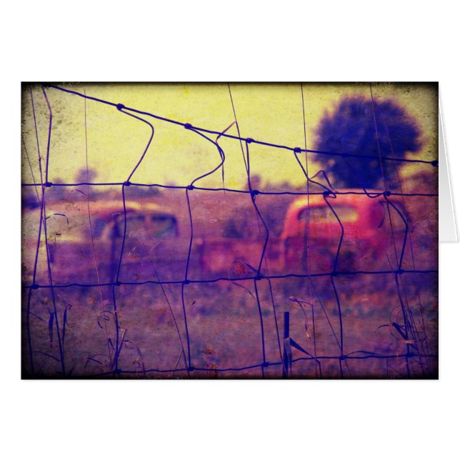 Cars and Trucks Rusting Away (Front Horizontal)