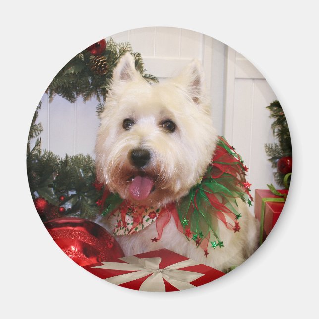 Carson - West Highland Terrier - Rovine Magnet (Front)