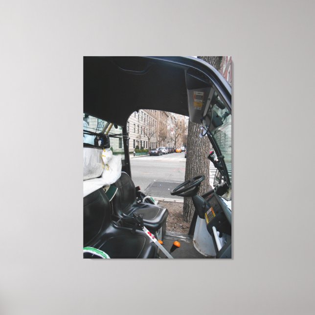 Cart Canvas Print (Front)