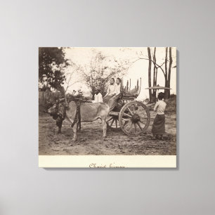 Cart pulled by two oxen at Mandalay, Burma Canvas Print