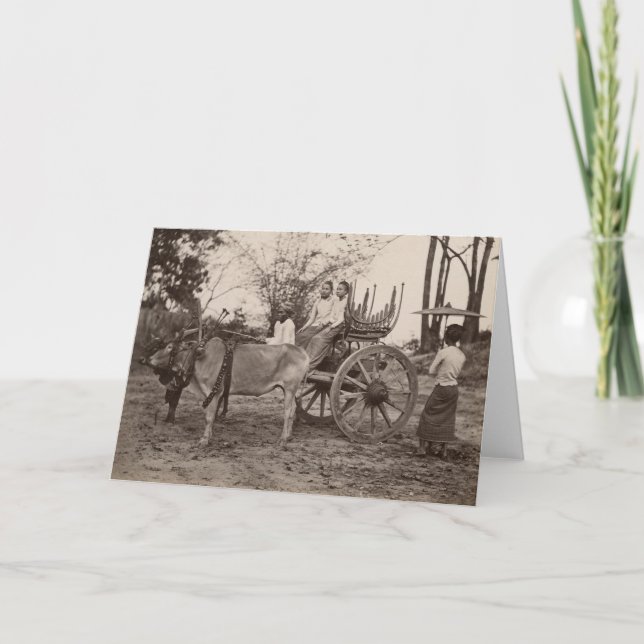 Cart pulled by two oxen at Mandalay, Burma Card (Front)