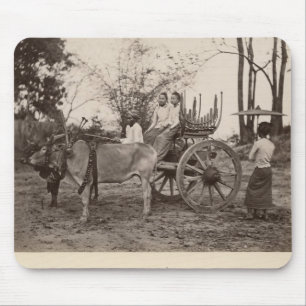 Cart pulled by two oxen at Mandalay, Burma Mouse Mat