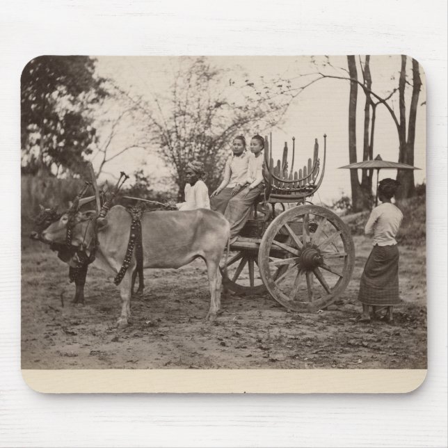 Cart pulled by two oxen at Mandalay, Burma Mouse Mat (Front)