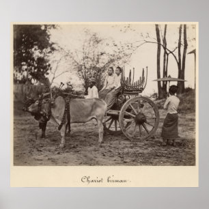 Cart pulled by two oxen at Mandalay, Burma Poster