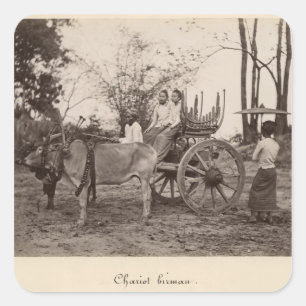 Cart pulled by two oxen at Mandalay, Burma Square Sticker