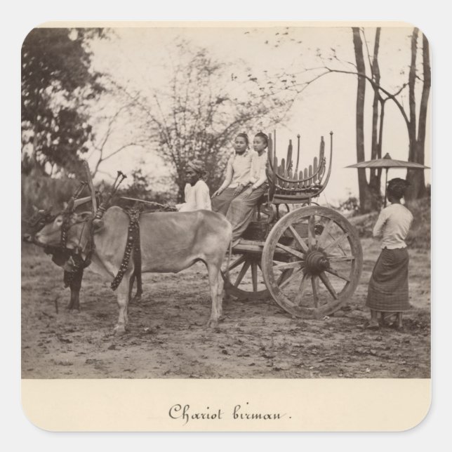 Cart pulled by two oxen at Mandalay, Burma Square Sticker (Front)