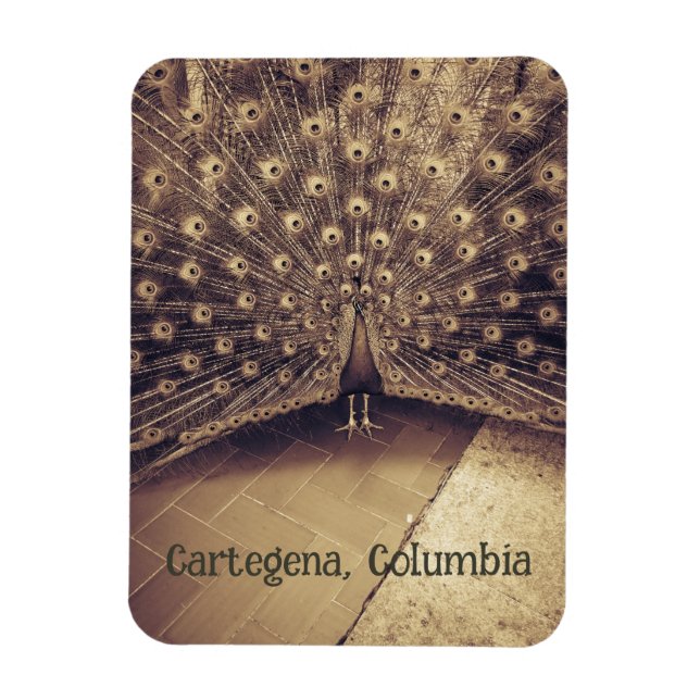 Cartagena, Columbia Magnet (Vertical)