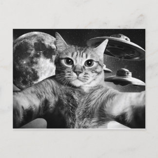 Cartão Postal Cat Space Postcard