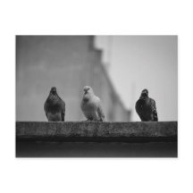 Cartão Postal - Três Pombos (Avenida Paulista)|Nº3