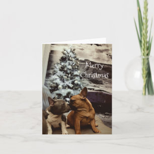 carte de voeux holiday card