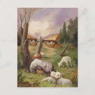 Carte illusion ferme postcard