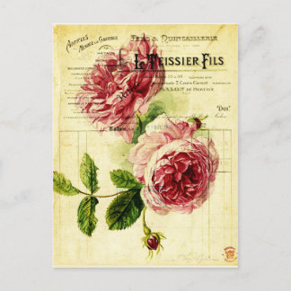 carte postal fleurs anciennes postcard