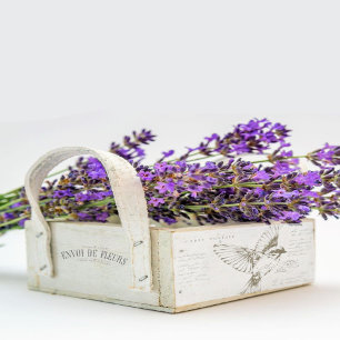 Carte Postale Bird French Script Sepia Tissue Paper