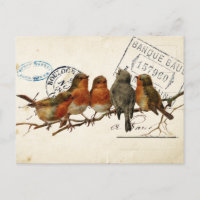 Carte Postale Bird Set 3 of 4 (European Robins) 