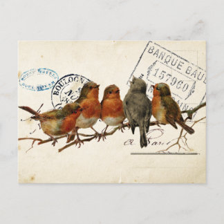 Carte Postale Bird Set 3 of 4 (European Robins) Postcard