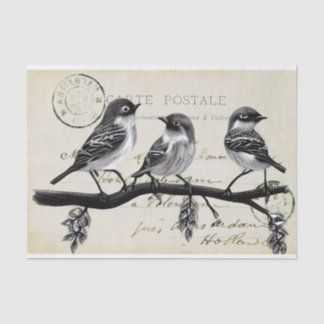 Carte Postale Birds on a Branch (French Postcard) Tissue Paper