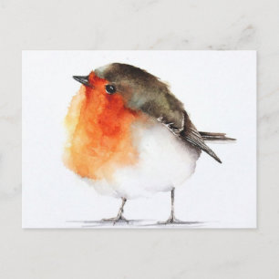 Carte Postale Dessin rouge gorge Postcard